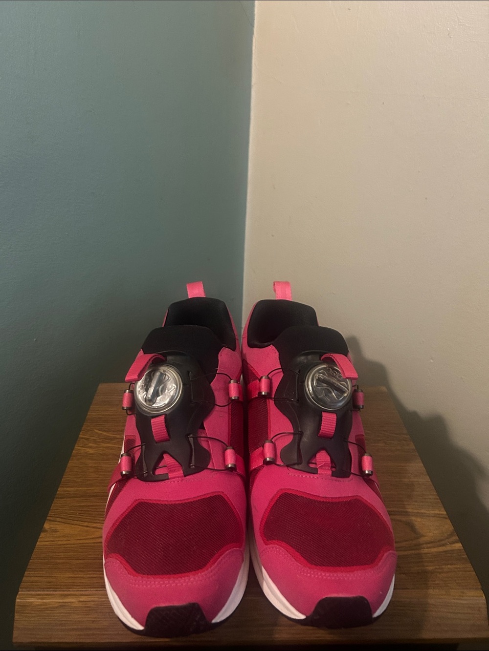 Puma Disc System